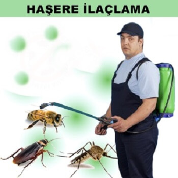 Pancar Böcek İlaçlama